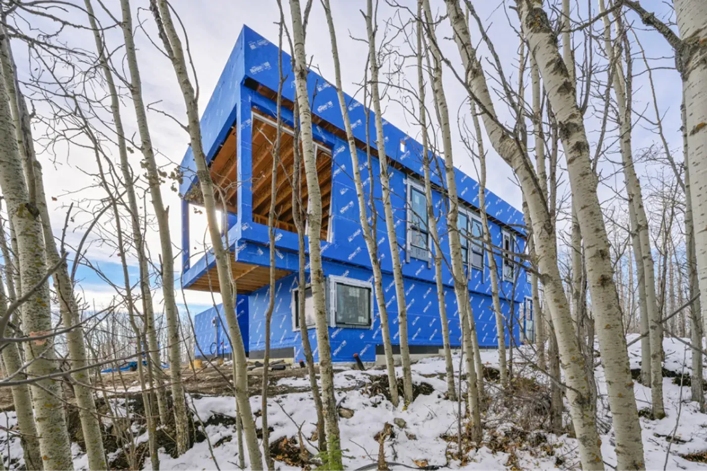 Custom home construction progress birch trees winter alberta