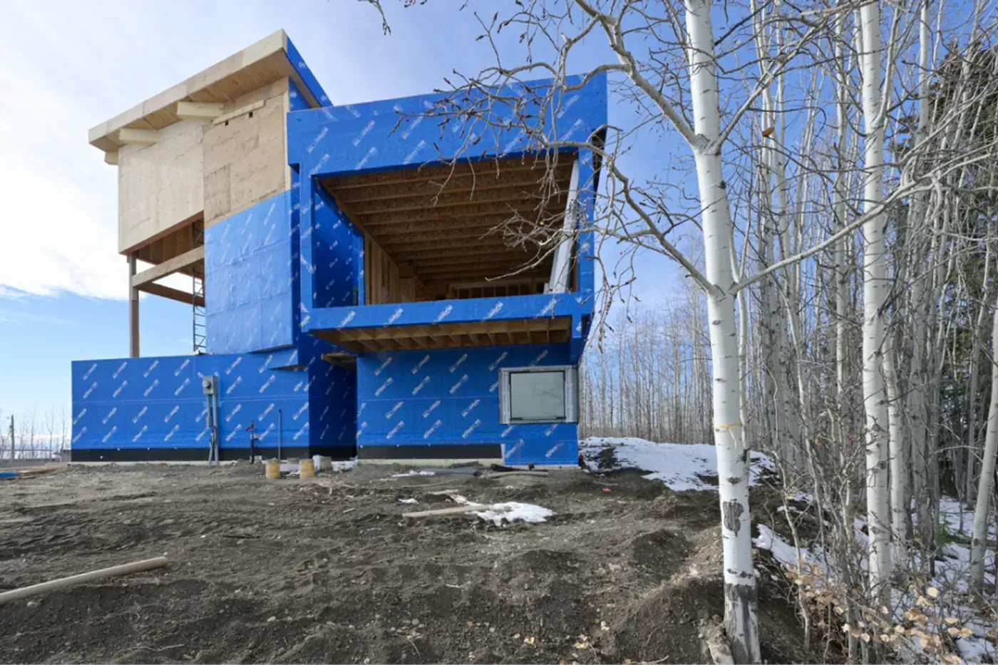Custom home house wrap side elevation birch trees